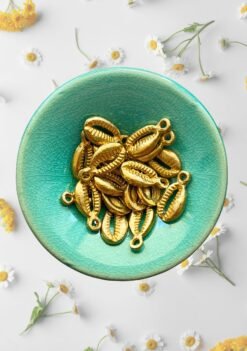 Alternative view of Shell Charms