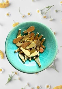 Alternative view of Flat drop Brass Charms