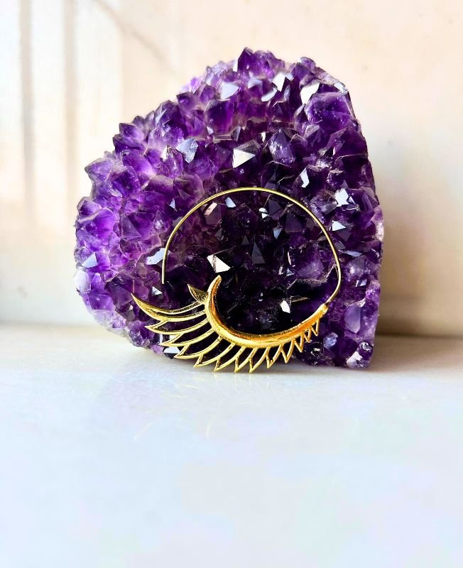 5/20 Pairs Wing Spiral Hoop Brass Earrings