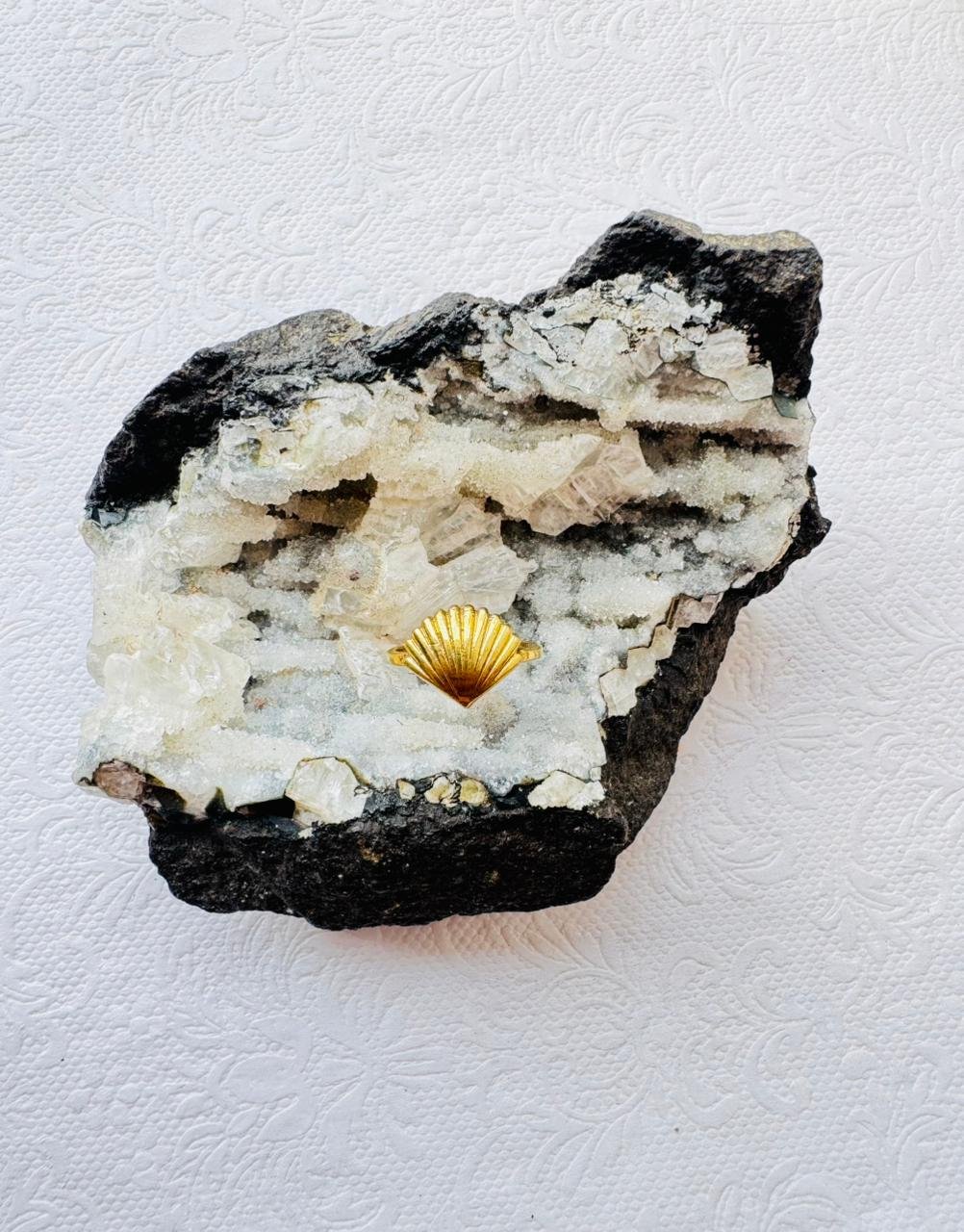 5/20 Pieces Ribbed Scallop Shell Brass Ring - Image 2