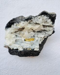 Alternative view of 5/20 Pieces Feather and Black Stone Brass Ring