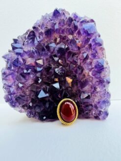 Oval Red Agate Grooved Stones Connectors