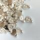 Silver Filled Shell Charms - 50 grams