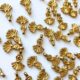 Fan Shell Brass Charms - 50 grams